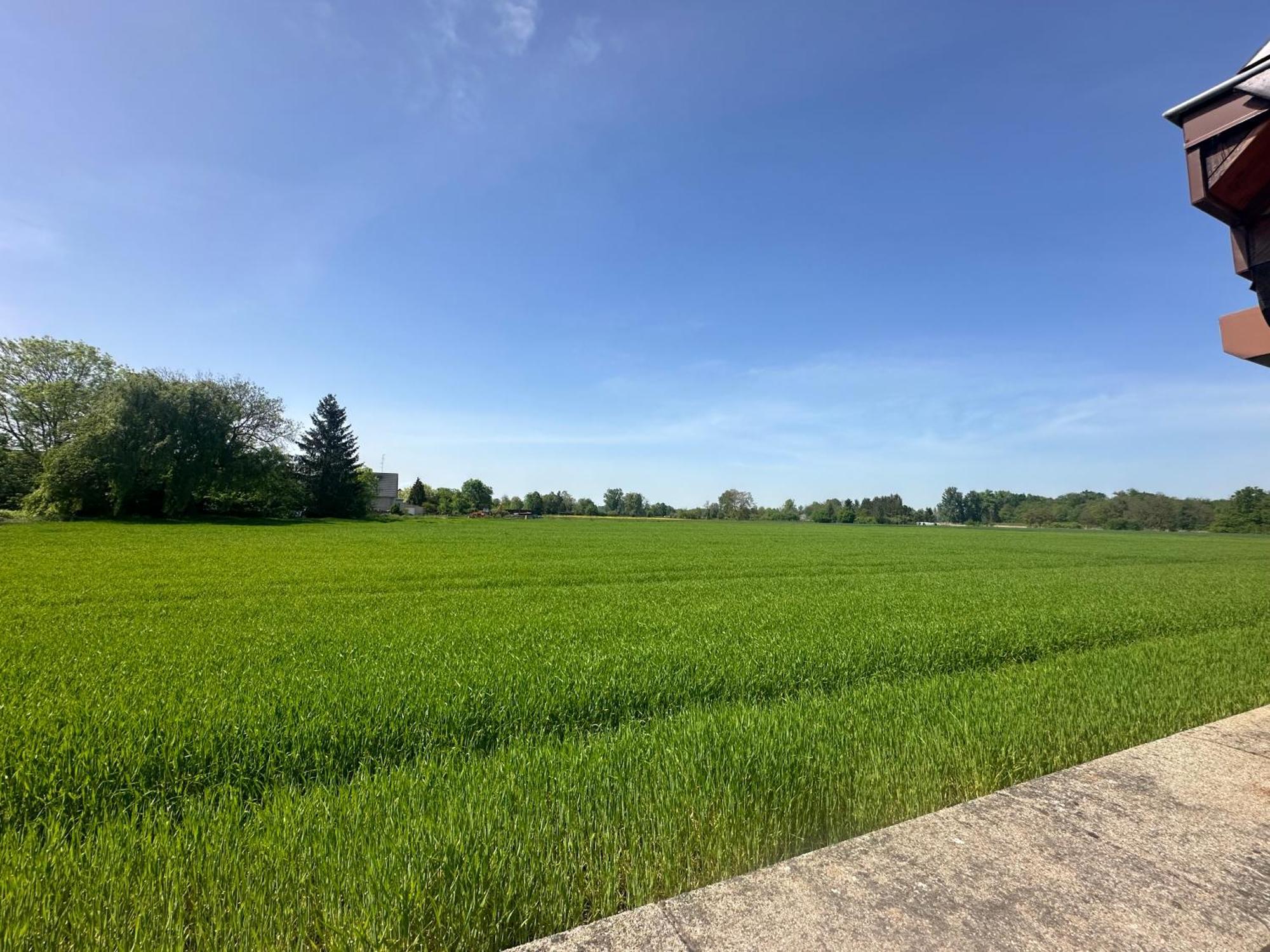 Le Daubenland Daubensand